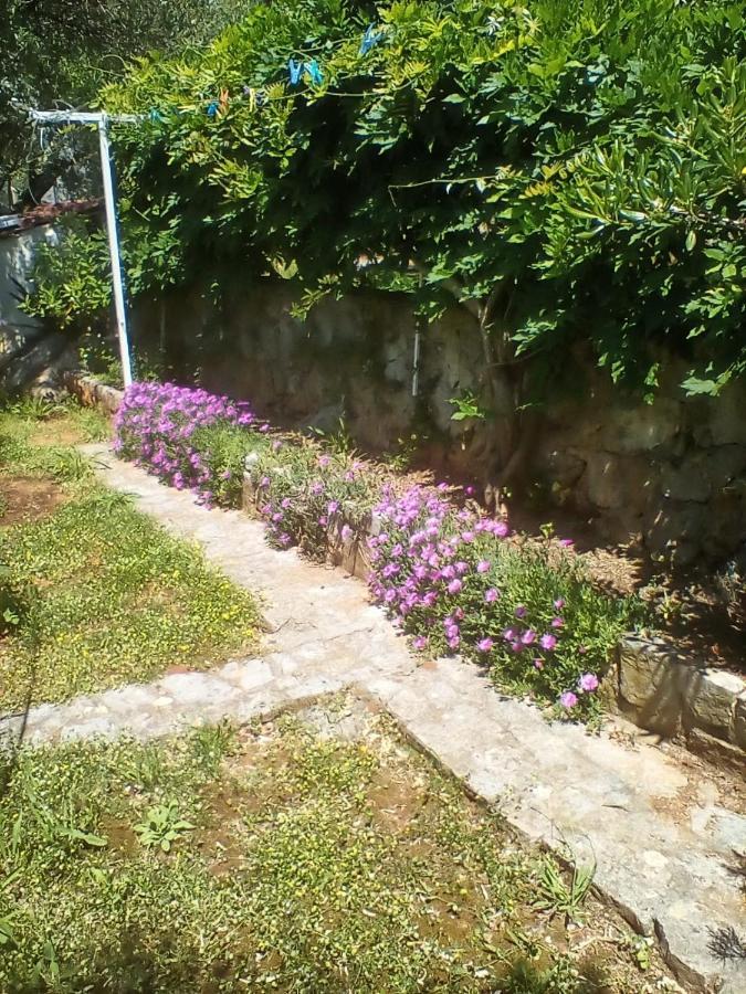 Apartman-Maja-Krk Кърк Екстериор снимка